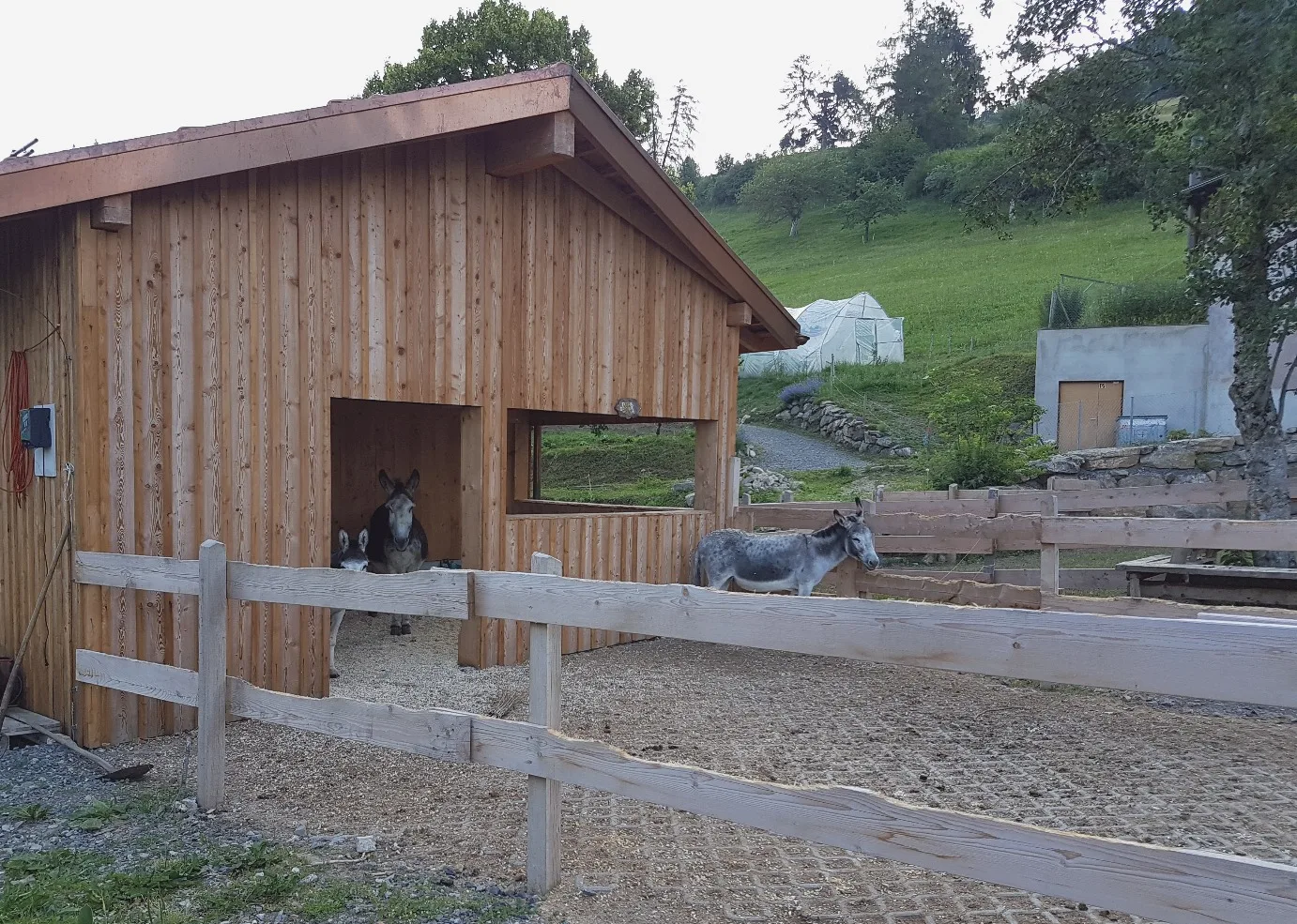Rénovation d'une ferme thérapeutique à Chamby — vue 2